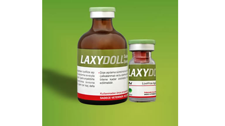 Laxydoll